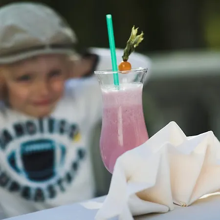 Otel Puehajaerve & Otepää