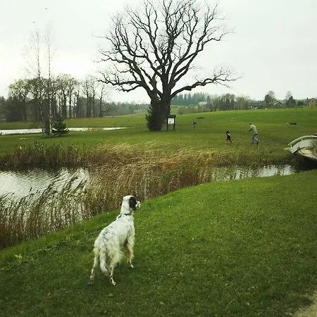 Puehajaerve & 3* Otepää