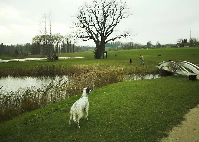 Puehajaerve & 3* Otepää